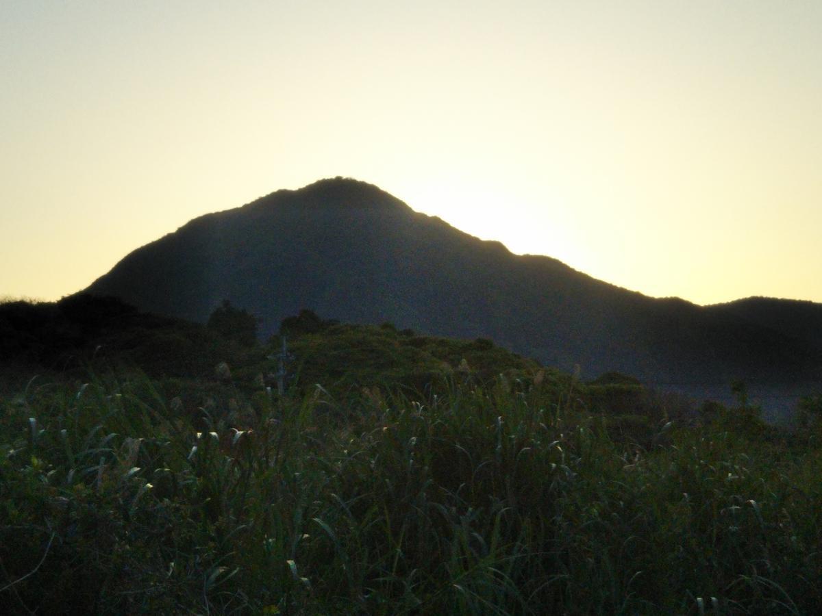 Cottage Yakusugi House Yakushima  Dış mekan fotoğraf