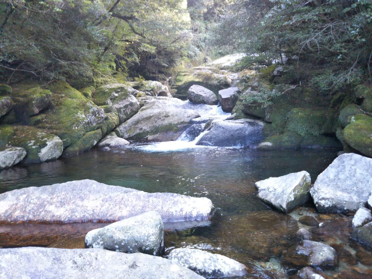 Cottage Yakusugi House Yakushima  Dış mekan fotoğraf