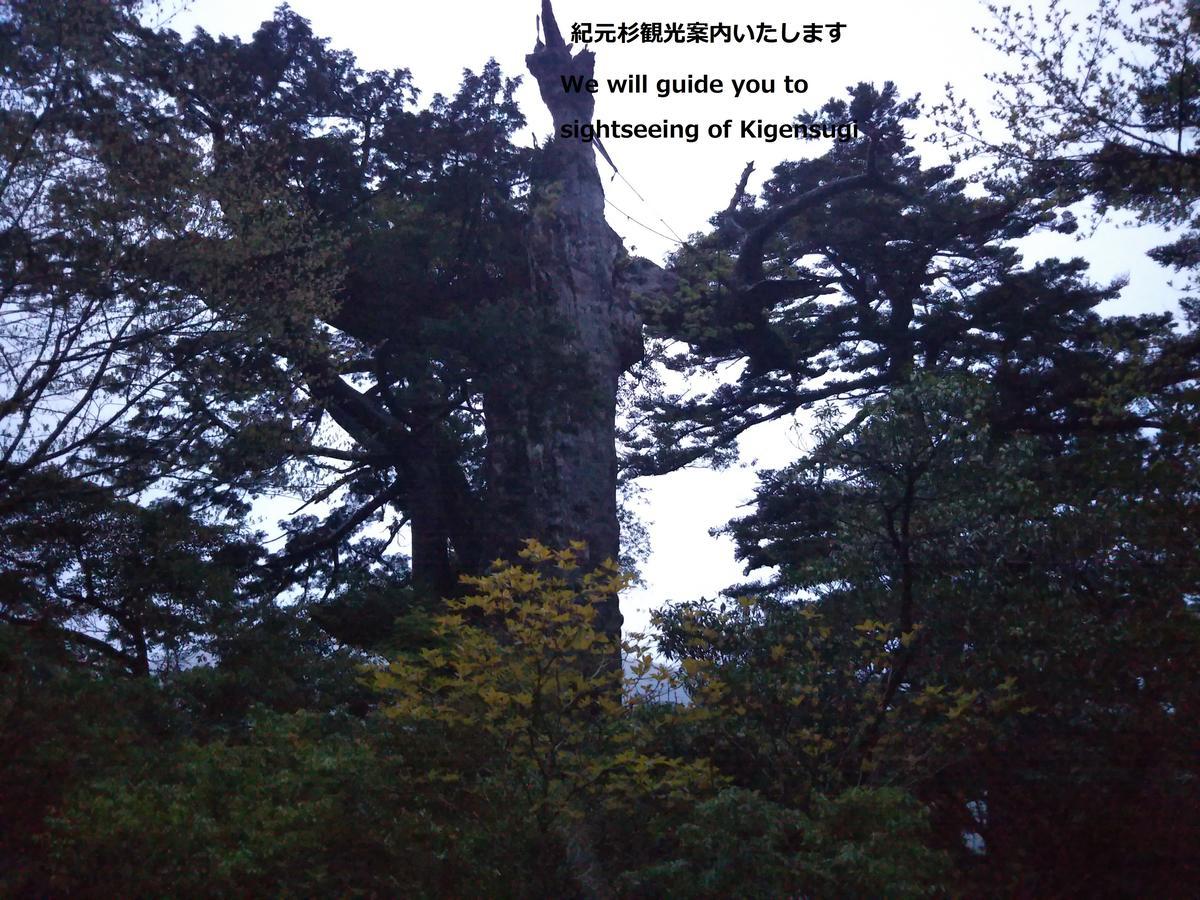 Cottage Yakusugi House Yakushima  Dış mekan fotoğraf