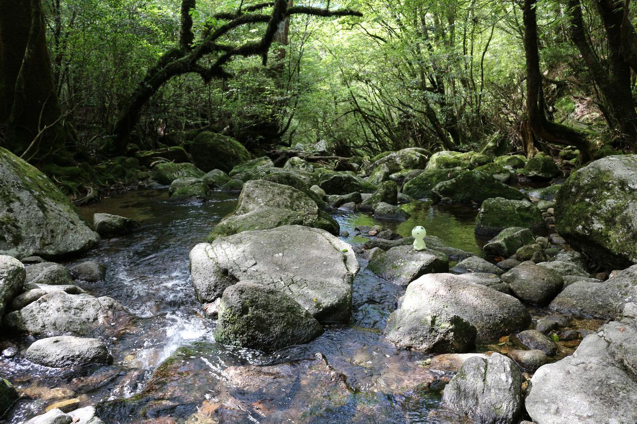 Cottage Yakusugi House Yakushima  Dış mekan fotoğraf