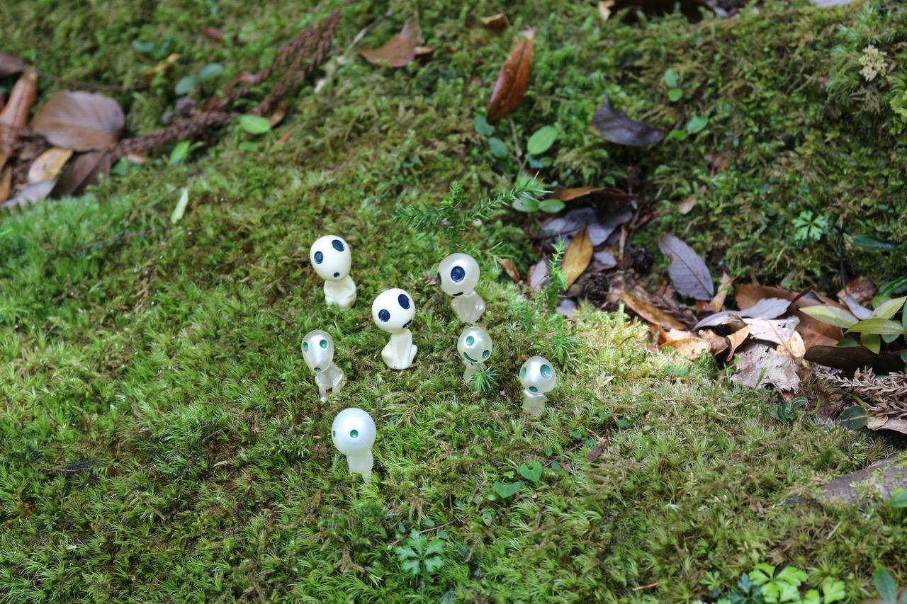 Cottage Yakusugi House Yakushima  Dış mekan fotoğraf