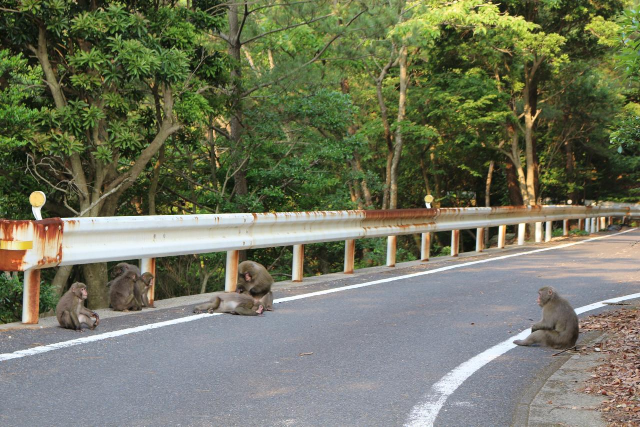 Cottage Yakusugi House Yakushima  Dış mekan fotoğraf