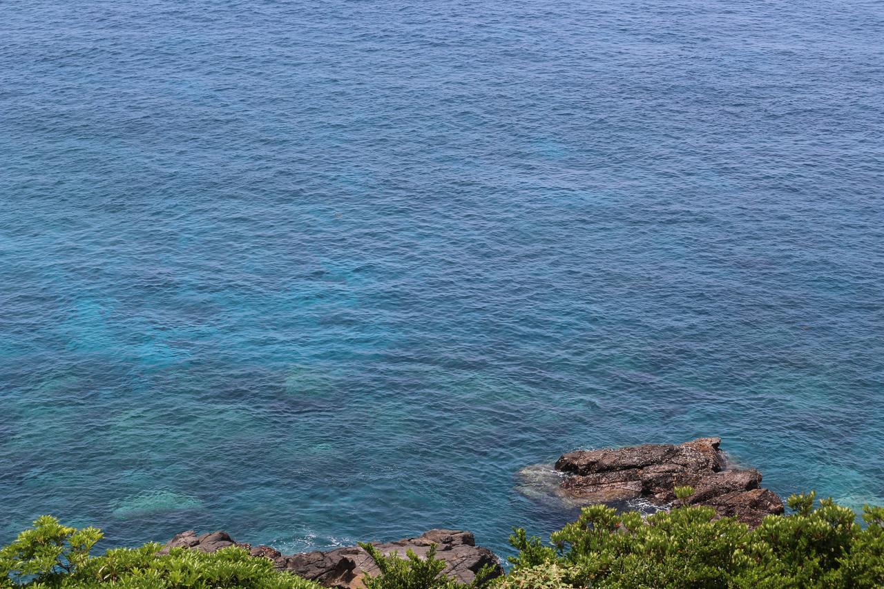 Cottage Yakusugi House Yakushima  Dış mekan fotoğraf