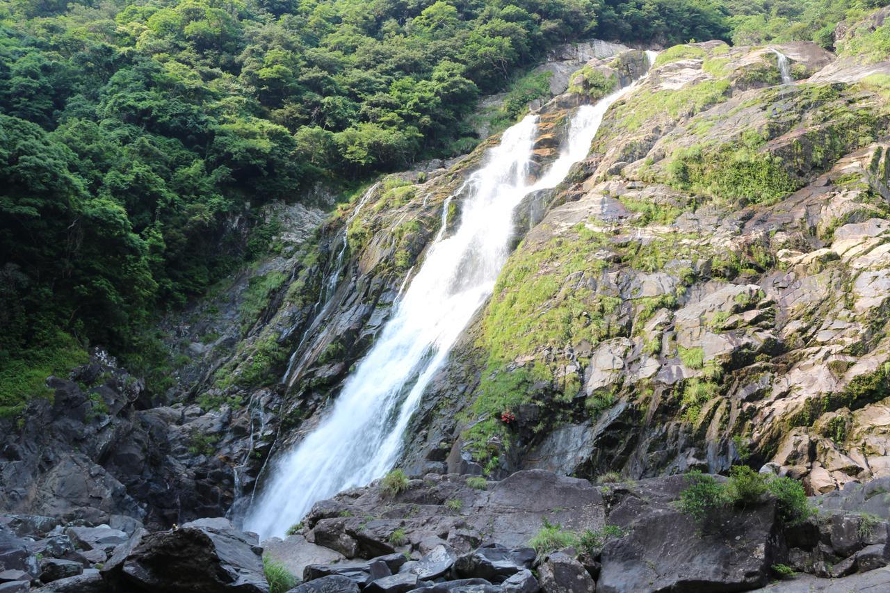 Cottage Yakusugi House Yakushima  Dış mekan fotoğraf